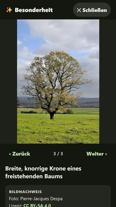 Baumkreis – Know your Tree – Screenshots 3